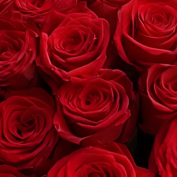Букет 39 красных роз