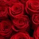 Букет 39 красных роз