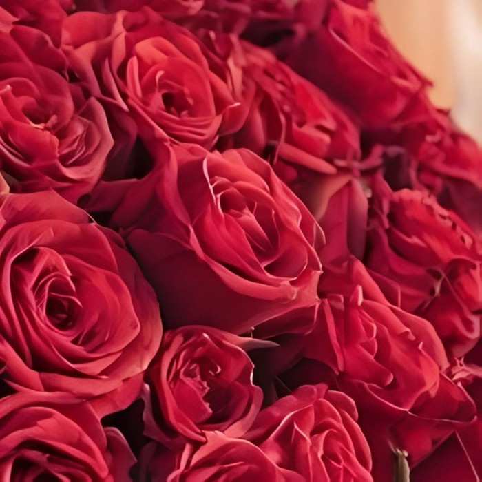 Букет 41 красная роза