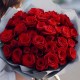 Букет 43 красные розы