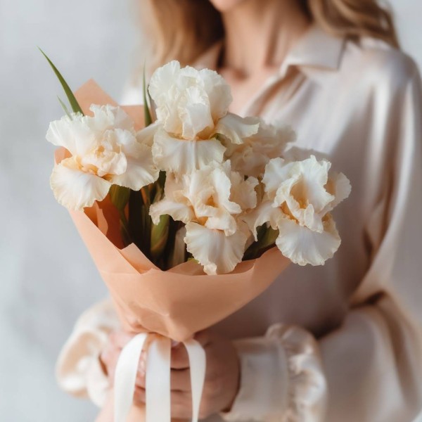 5 кремовых ирисов