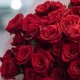 Букет 54 красные розы