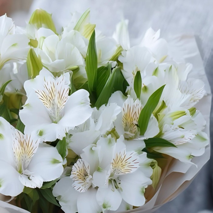 Букет 7 белых альстромерий