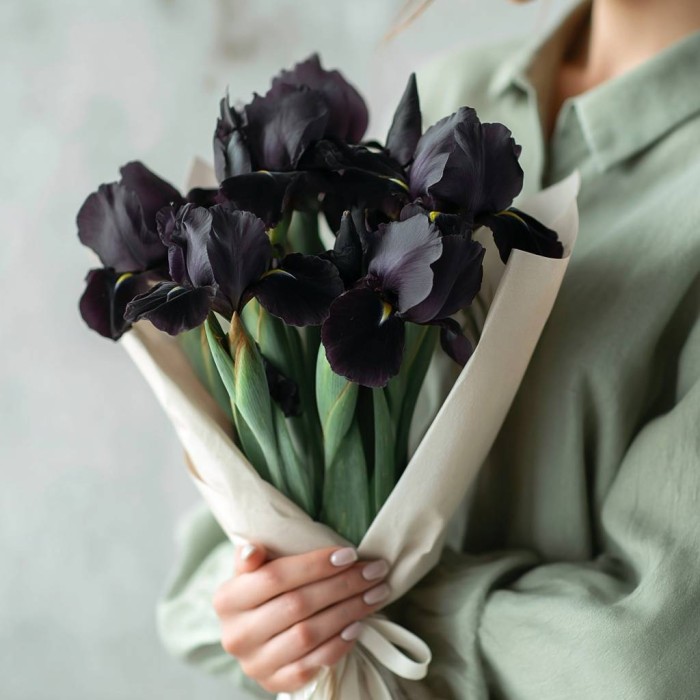 Букет 7 черных ирисов