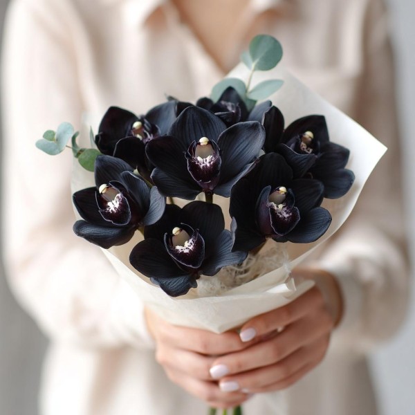 7 черных орхидей