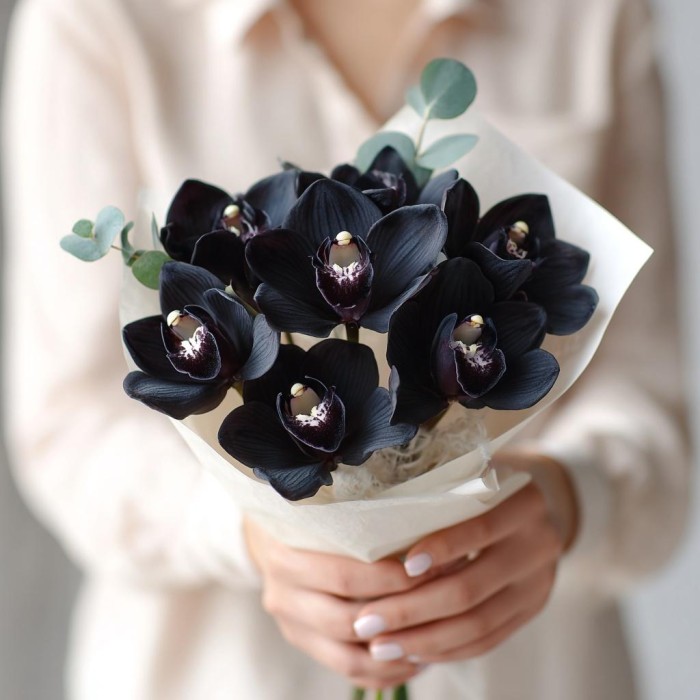 Букет 7 черных орхидей
