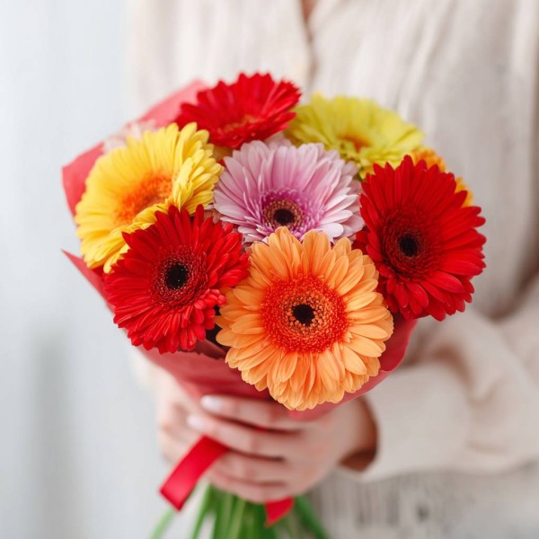 7 гербер микс