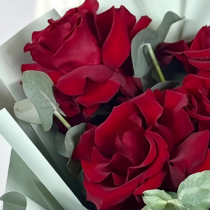 Букет 7 красных французских роз с эвкалиптом