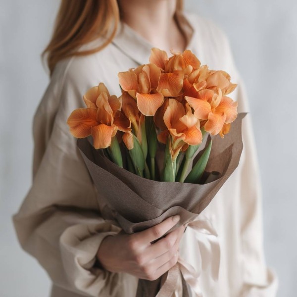 7 оранжевых ирисов