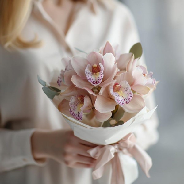 7 розовых орхидей