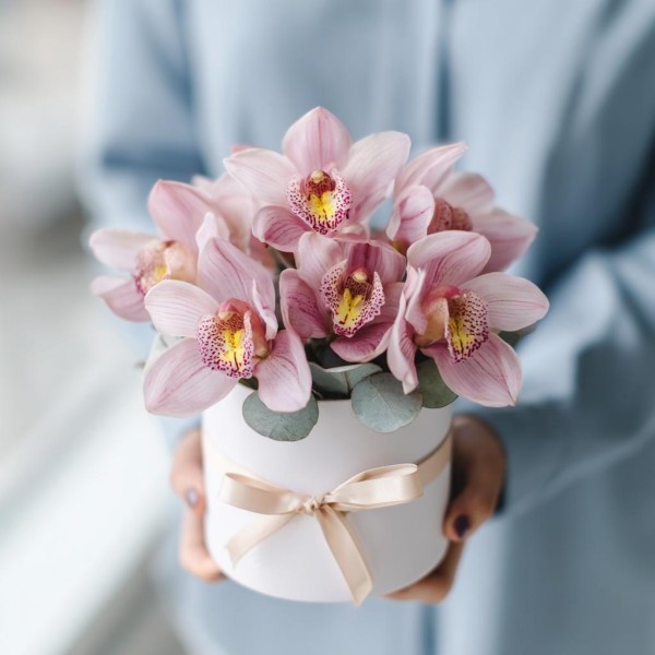 7 розовых орхидей в коробке