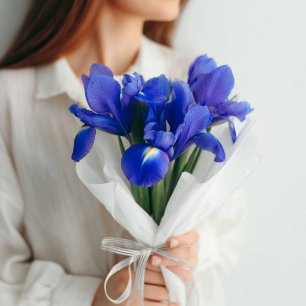 7 синих ирисов