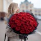 Букет 77 красных роз