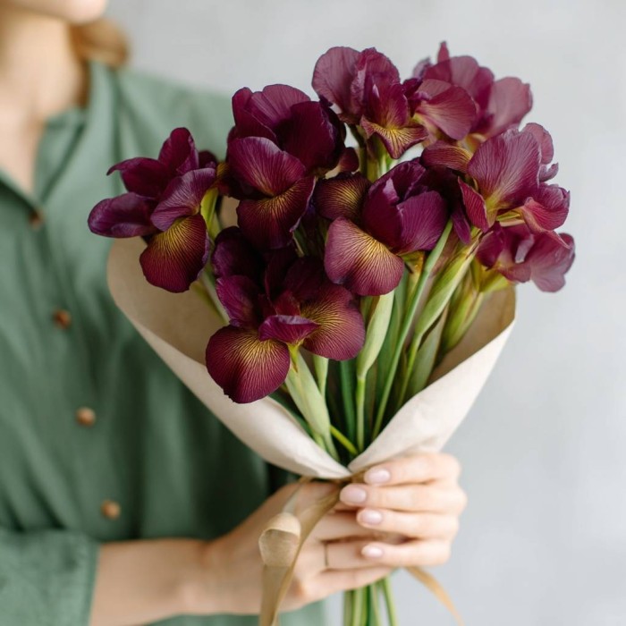 Букет 9 бордовых ирисов