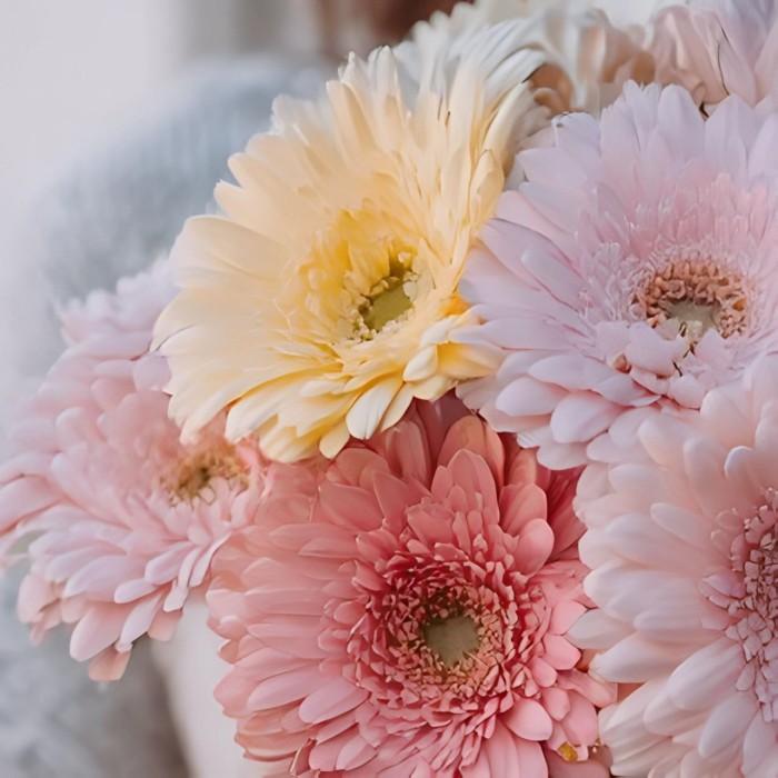 Букет 9 гербер микс