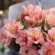 Букет 9 розовых альстромерий