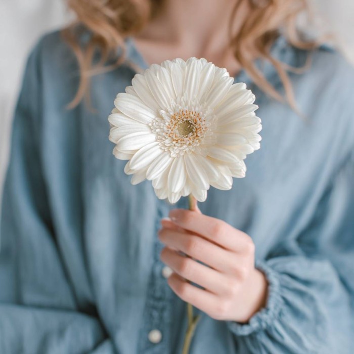 Белая гербера 1 штука