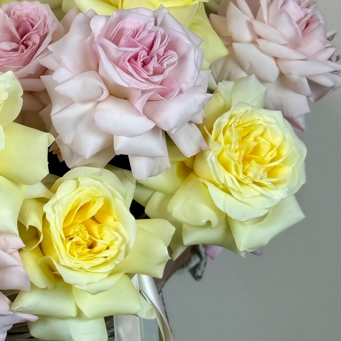 Корзина из 29 французских роз