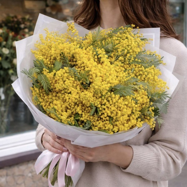 Мимоза 7 пучков