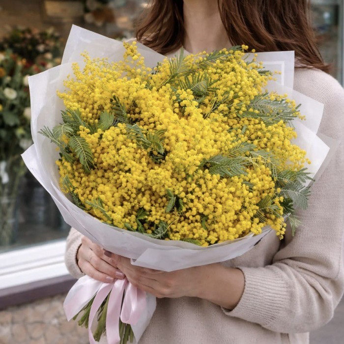 Мимоза 7 пучков