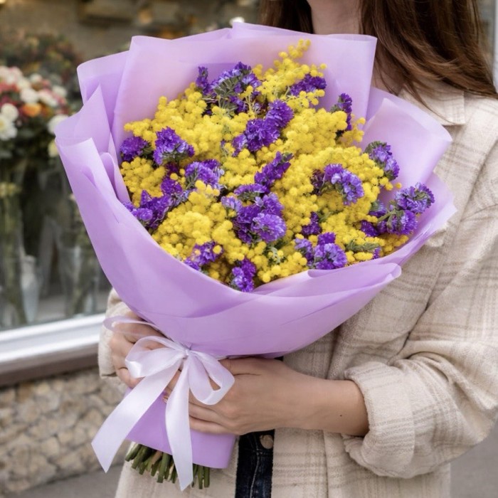 Мимоза со статицей