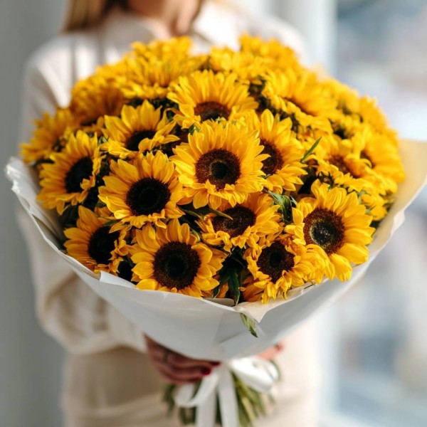 Монобукет 25 подсолнухов