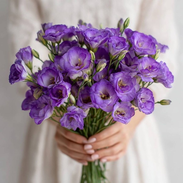 Монобукет 9 фиолетовых эустом