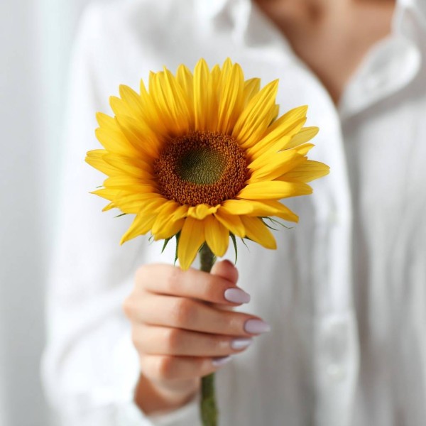 Подсолнух поштучно