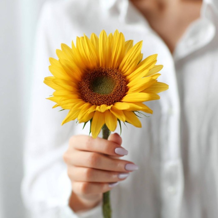 Подсолнух поштучно