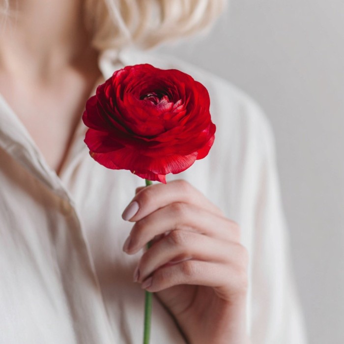 Ранункулюс красный поштучно