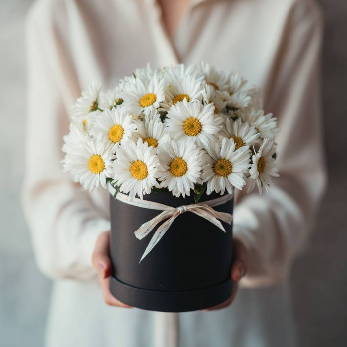 Ромашки в черной коробке