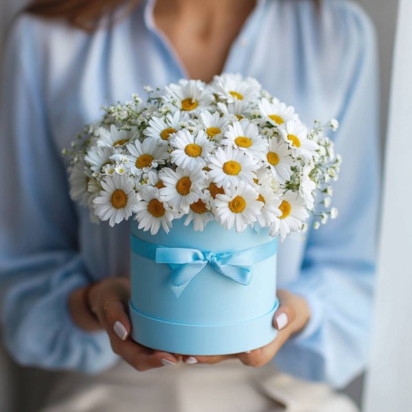 Ромашки в голубой коробке