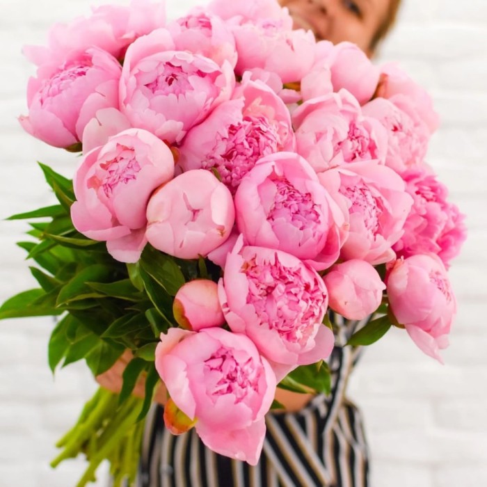 Букет 21 пион